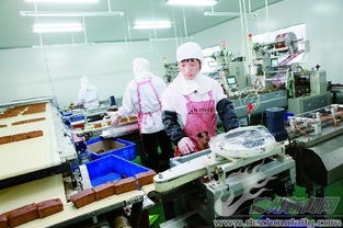 全民創(chuàng)業(yè)正當時