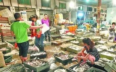 廈門的海鮮年歷 教你如何應季吃海鮮，一網打盡海鮮批發秘籍