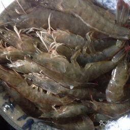 胡家廟海鮮副食批發(fā)市場(chǎng) 潛山縣食品保健的采購(gòu)新選擇