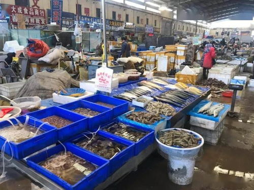 休漁期將至，義烏海鮮市場“囤貨”忙，價(jià)格將迎小幅波動
